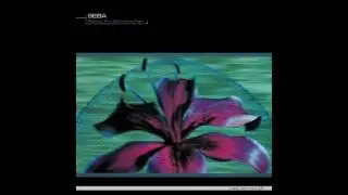 Seba - Camouflage