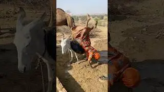 A Young Boy Enjoying a Donkey Ride in a Unique Outfit