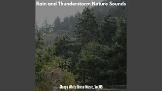 Wildest Moderate Rain