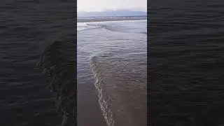 Serene Beach Walk with Soothing Music #beach #waves