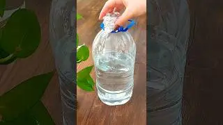 LIFE HACK | No Bottle Cap? Use a Balloon #shorts