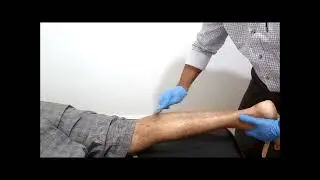 Calf muscle