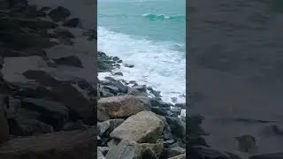 Gulf of mannar sea Rameshwaram