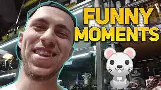 PARAMAXIL FUNNY MOMENTS 🐀