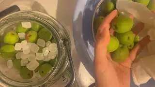 Making Sour plum Juice at home very healthy and delicious #homemade #juice #healthylifestyle