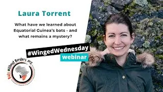56 - #WingedWednesday webinar