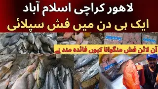 We Deliver Fresh Fish in karachi lahore & Islamabad from Karachi Fishery | Karachi Fish Harbour 2024