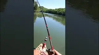 Я поймал ГИГАНТСКОГО СИНЕЖАРНИКА во время ПОЛНОЛУНИЯ!!!