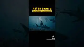 Así se siente Colombia tierra de todos TDT 