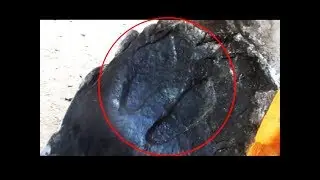 Muktinath Darshan Part3 (गुरु पद्मसम्भव खुट्टा को छाप)Foot Print Guru Rinpoche