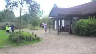 LRR do punkrun