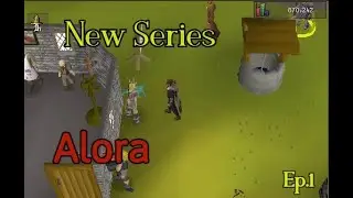 Alora RSPS: *Starting a New Series on Biggest OSRS RSPS* Ironman Grinds Ep.1