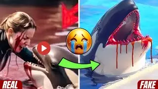 Understanding The Jessica Radcliffe Orca Attack Tragedy: Fact vs Fiction 