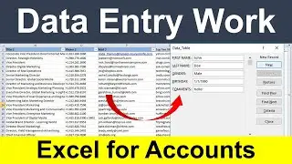 Microsoft Excel Data Entry Office Work | Customer Data Entry in Excel ! #data_entry_in_excel