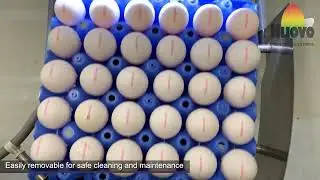 Nuovo Egg Printer - Egg-Jet R6 23 on Mopack EP