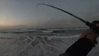 #68 Pesca de corvina Cachagua. Estrenamos la Shimano Dialuna B96ML