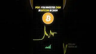 POV: you invested $100 in Bitcoin in 2009 #btc #crypto