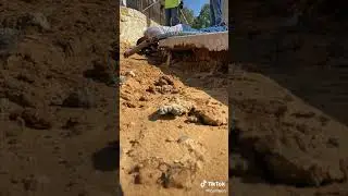 Fill That VOID In Your Heart AND Under Your CONCRETE To PREVENT FALLING!!!
