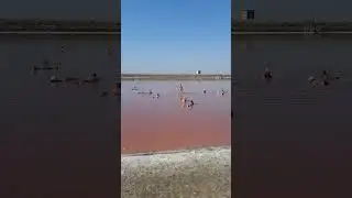 Salt Lake in Pomorie (Bulgaria)