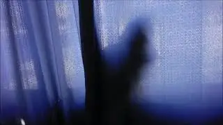 SWEETIE THE MAINE COON THE SHADOW KNOWS PET CAT SITTING IN THE WINDOW SILHOUETTE BACK LIGHT PAW BALL