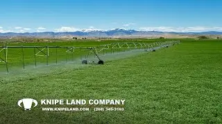 Idaho Ranch With Pivot Irrigation & Mountain Views - Owyhee Angus Ranch - SOLD