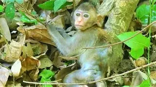 How Janna baby find mom after authority release her to meet mom, Janna scared of fall down