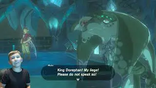 BOTW Zora's Domain Master Mode