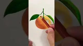 Realistic Orange Drawing with Pencil Colors 🍊 | Easy Color Pencil Art Tutorial #shorts