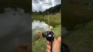 Qual isca de fundo voc&ecirc; usa pra TAMBA? 🥇🎣🚀👍 #tamba #pesca #pescaria