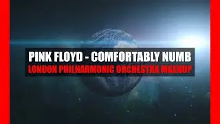 Pink Floyd - Comfortably Numb (London Philharmonic Orchestra Mashup)