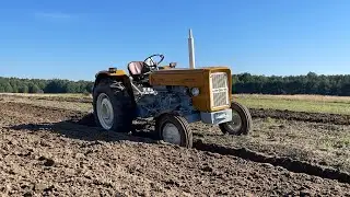 ORKA POD ŻYTO HYBRYDOWE URSUS C-360&PŁUG TRZYSKIBOWY