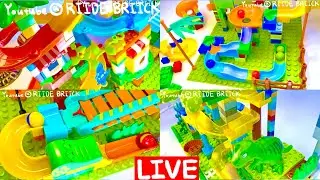 Satisfying Marble Run Race | Dinosaur & Animal Blocks ASMR🦖🌋