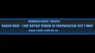 VERICA SERIFOVIC - ne dam bolu  -Radio-Vaki-Zemun.wmv