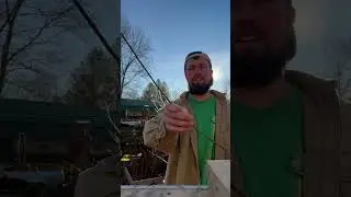 How to sell plants and trees online what I used to sell thousands of trees 