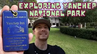 Exploring the  Beauty of Yanchep National Park: A Nature Lover's Paradise