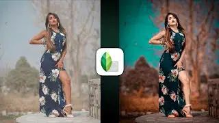 Snapseed Best Realistic Color Effect | Snapseed Photo Editing | Snapseed Background Colour Change