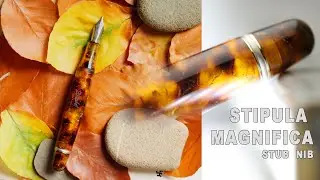 Stilografica Stipula Magnifica miele selvatico pennino stub - test scrittura e recensione