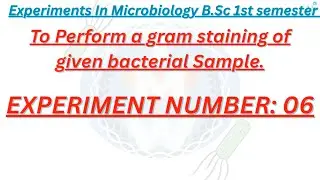 Grams staining Technique theory #viralvideo  #practical #bscmicrobiology #experiment #staining#notes