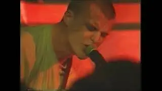 Tribute to Nothing - Transparent Skin