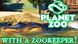 Planet Zoo with a ZOOKEEPER! - Building an American Alligator enclosure! - Planet Zoo