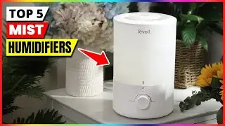 Best Mist Humidifiers 2026 &ndash; Top 5 Picks for Healthier Air!