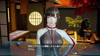 HoneySelect