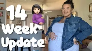 14 Week Pregnancy Update