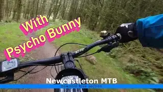 Newcastleton Blue Trail with Psycho Bunny