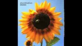 Alucidnation - I'm Not Bad