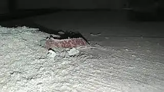 just slow-mo vacuum dust