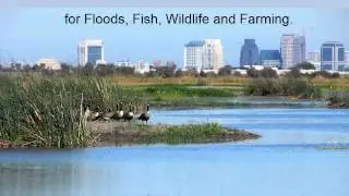 Climate Change Vulnerability of Native and Alien Freshwater Fishes of California