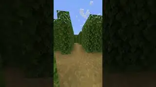 I Built A GARDEN MAZE In Minecraft  #minecraft #minecraftshorts #garden #maze #labyrinthe