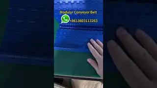 Blue Plastic Modular Conveyor Belt