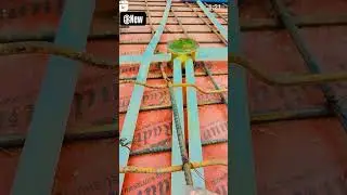 #howtocheckelectricitybill #constructioncompany #electriclover#constructioncompany